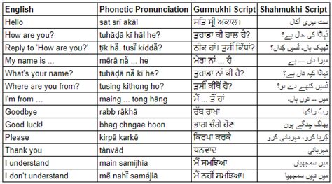 Punjabi Curse Words and the Philosophy of Profanity
